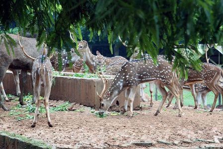 Bangladesh National Zoo